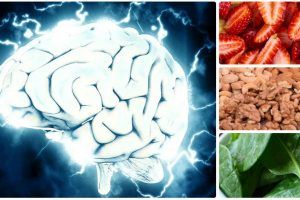 alimentos para la memoria